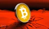 What is Bitcoin (BTC)? How and Where to Buy? What is Bitcoin (BTC)? How and Where to Buy?