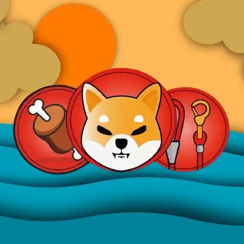 Bone Coin (BONE) Nedir? Nasıl ve Nereden Alınır? Bone Coin (BONE) Nedir? Nasıl ve Nereden Alınır?