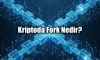 Fork Nedir? Blockchain’de Ayrılıklar ve Türleri Fork Nedir? Blockchain’de Ayrılıklar ve Türleri