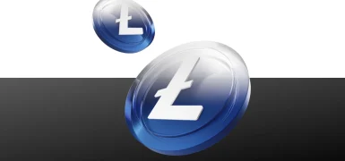 Litecoin (LTC) Nedir? Nasıl ve Nereden Alınır?
